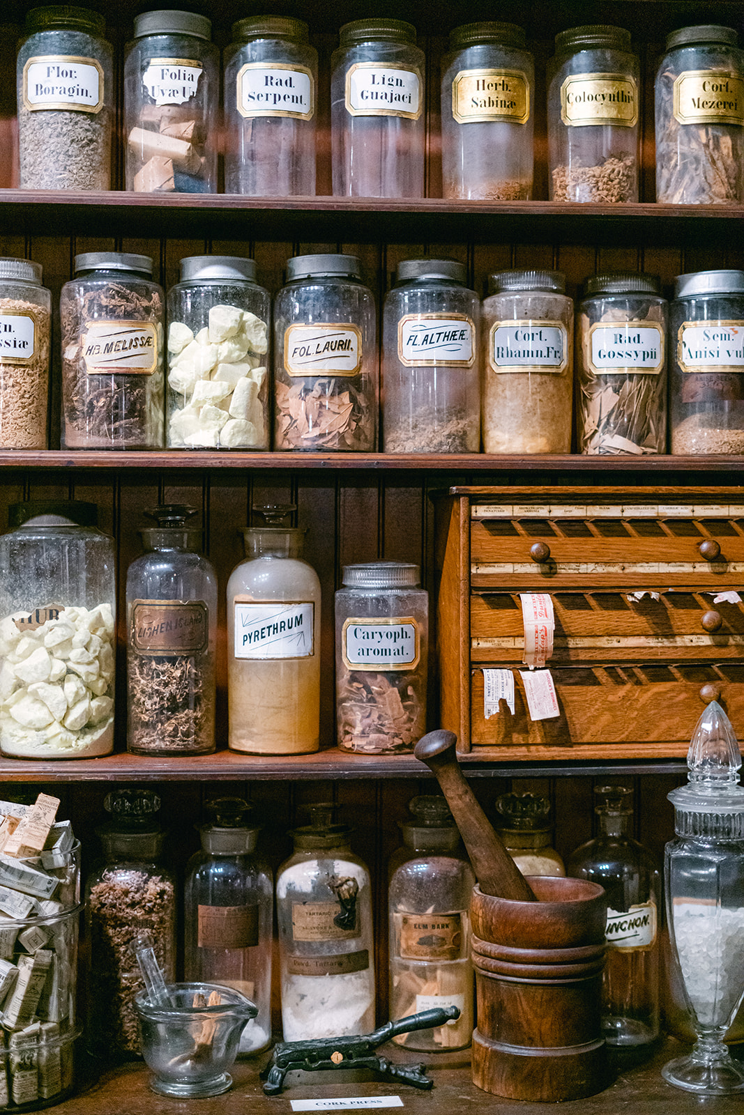 New Orleans Pharmacy Museum Weddings