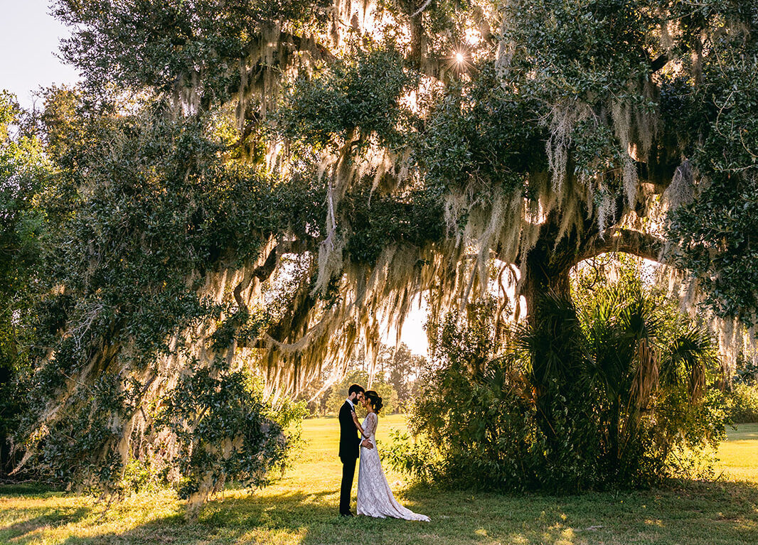 Bride and Groom reading vows under huge oak tree in New Orleans City Park
